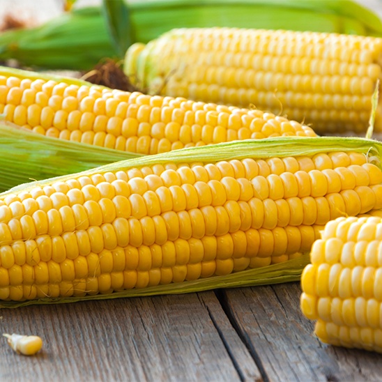 corn_small