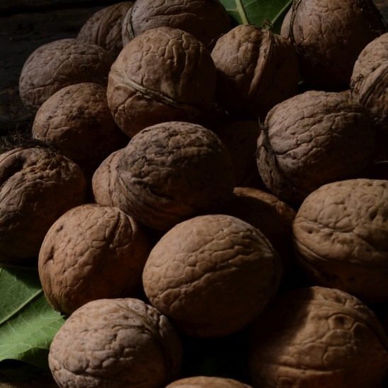 madison_walnut_small_res_326847191